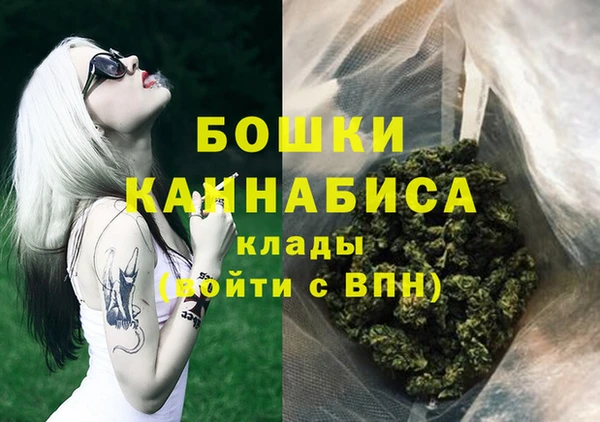 стафф Коряжма