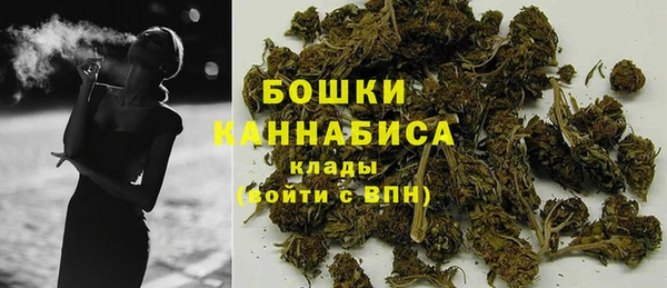 стафф Коряжма