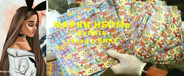 стафф Коряжма