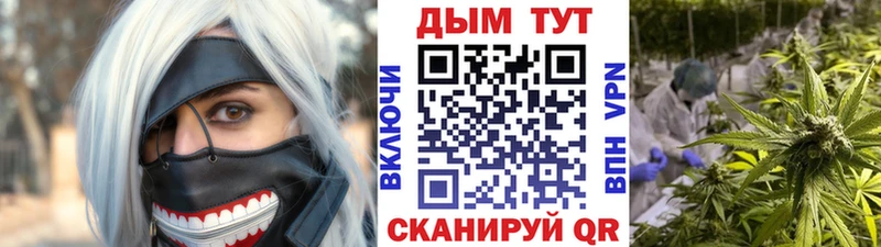 как найти закладки MEGA tor МАРИХУАНА конопля Ессентуки